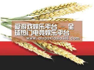 爱游戏娱乐平台 - 全球热门电竞娱乐平台