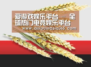 爱游戏娱乐平台 - 全球热门电竞娱乐平台