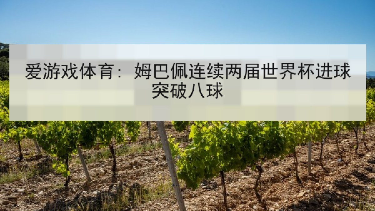 爱游戏体育: 姆巴佩连续两届世界杯进球突破八球