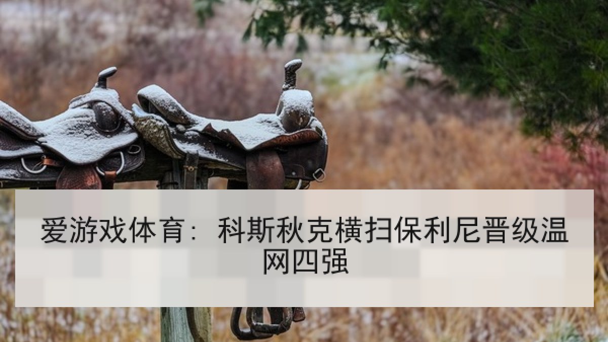 爱游戏体育: 科斯秋克横扫保利尼晋级温网四强