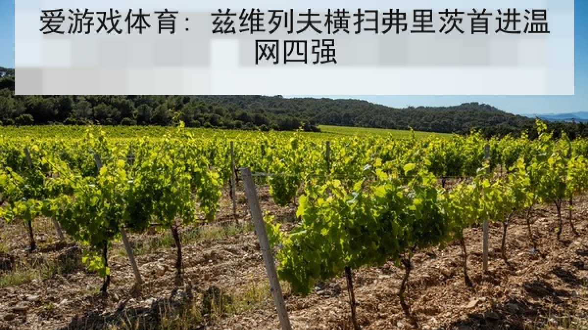爱游戏体育: 兹维列夫横扫弗里茨首进温网四强