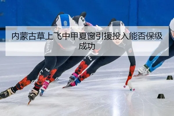 nei-meng-gu-cao-shang-fei-zhong-jia-xia-chuang-yin-yuan-tou-ru-neng-fou-bao-ji-cheng-gong-1-263.jpg