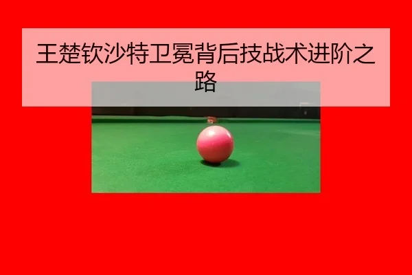 wang-chu-qin-sha-te-wei-mian-bei-hou-ji-zhan-shu-jin-jie-zhi-lu-1-870.jpg