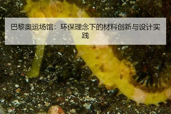 ba-li-ao-yun-chang-guan-huan-bao-li-nian-xia-de-cai-liao-chuang-xin-yu-she-ji-shi-jian-3-918.jpg