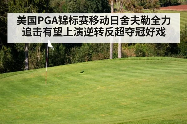 美国PGA锦标赛移动日舍夫勒全力追击有望上演逆转反超夺冠好戏