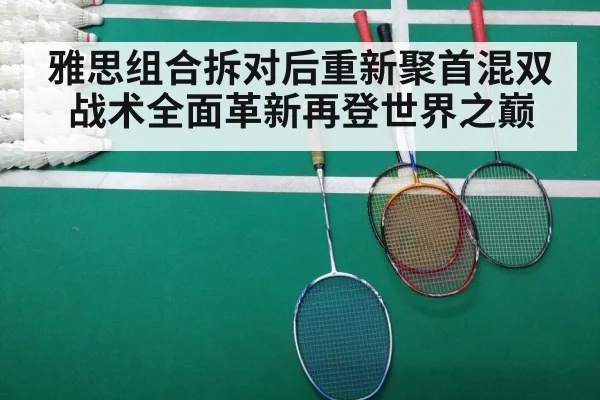 badminton tactical match