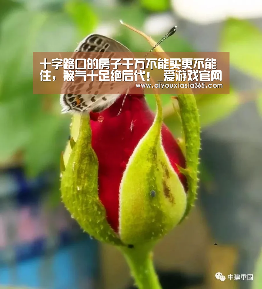 爱游戏赛事